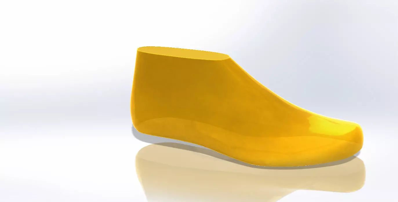 SHOE LAST 14092018 3D print model_0