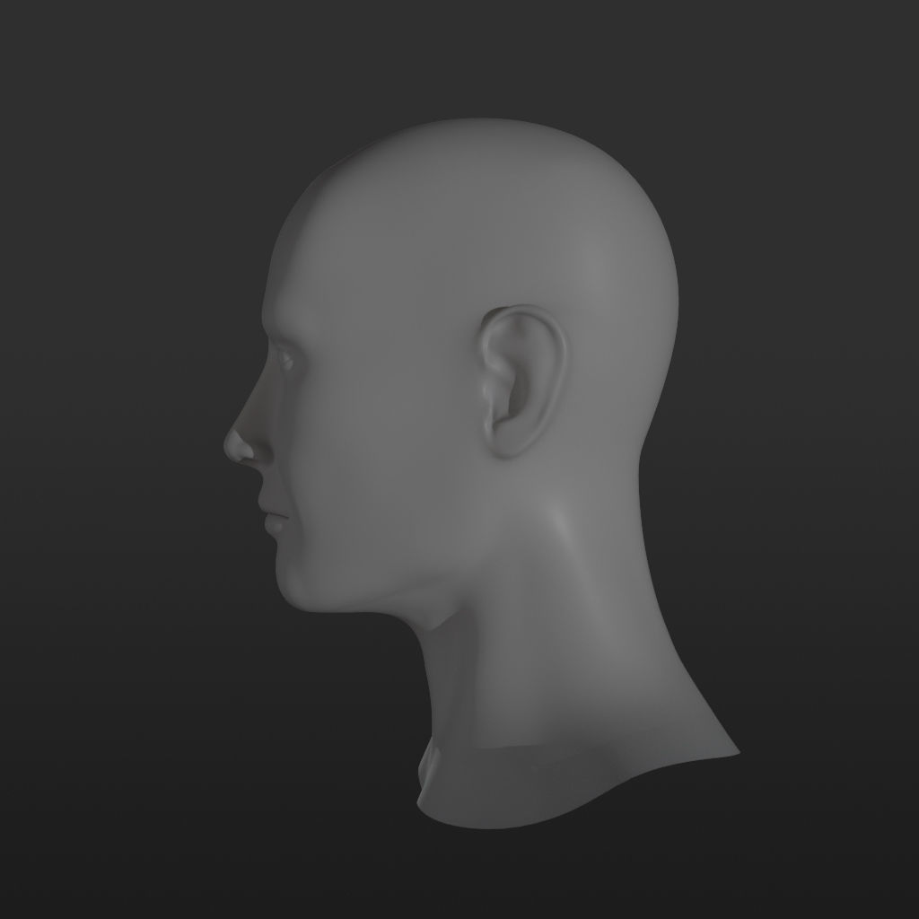 Male Head Base Mesh 3D model_2