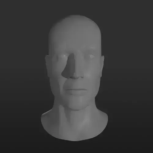 Male Head Base Mesh