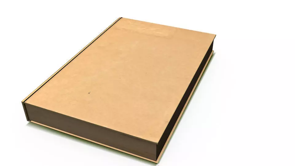 Old Book Low-poly 3D model_0