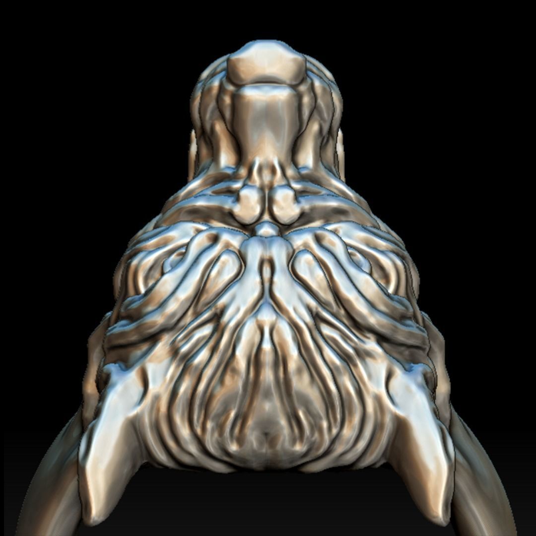 Wolf Ring Low-poly 3D model_13