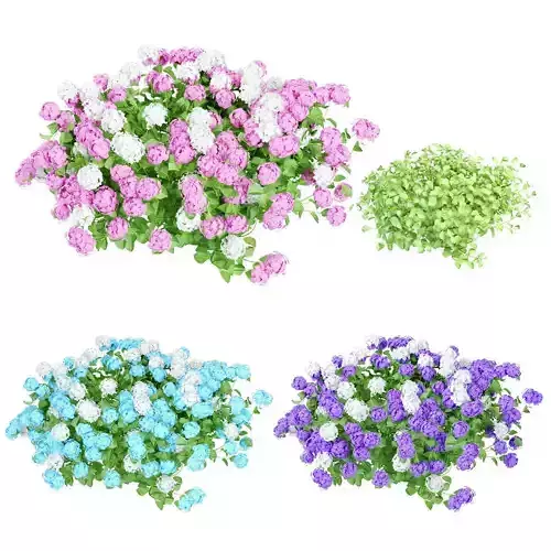 Plant Hydrangea set 04 