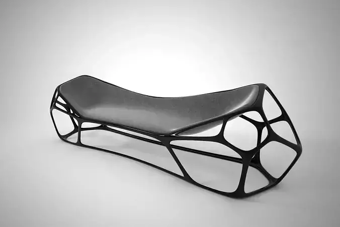 01 MORPHOLOGY CHAIR