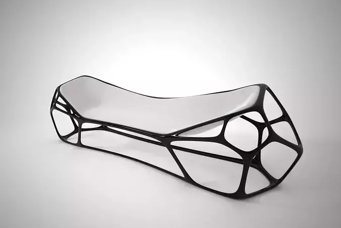 02 MORPHOLOGY CHAIR