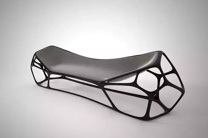 03 MORPHOLOGY CHAIR