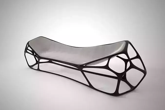 04 MORPHOLOGY CHAIR