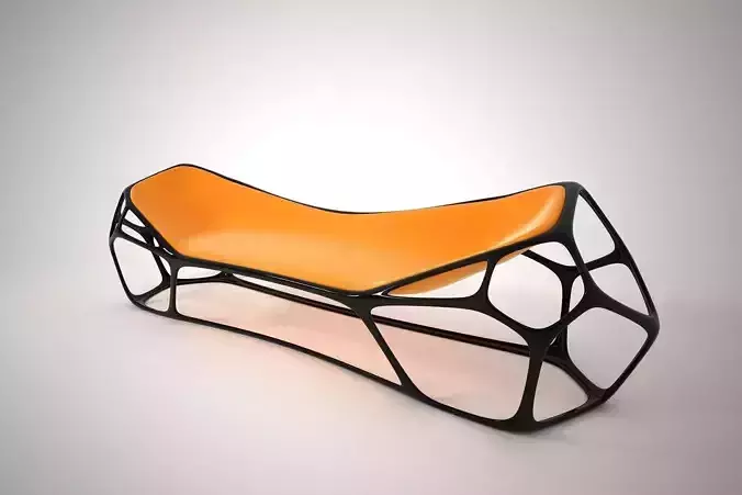06 MORPHOLOGY CHAIR