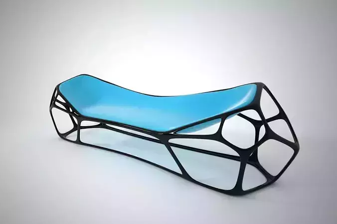 07 MORPHOLOGY CHAIR