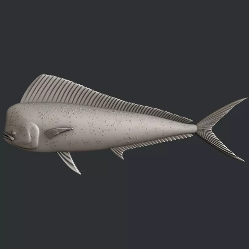 3d STL models for CNC fish Mahi mahi 3D model_0