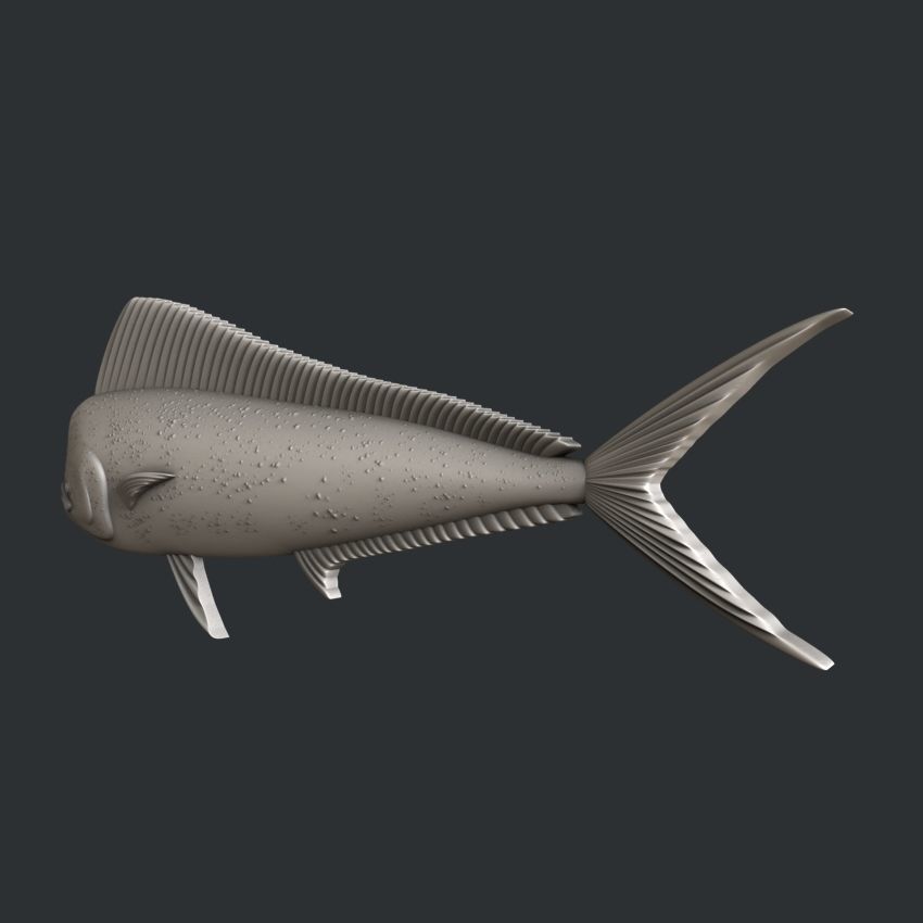 3d STL models for CNC fish Mahi mahi 3D model_1