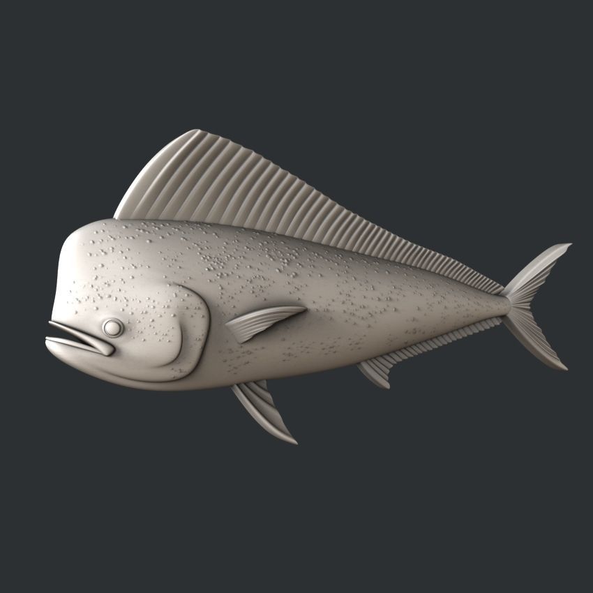 3d STL models for CNC fish Mahi mahi 3D model_2