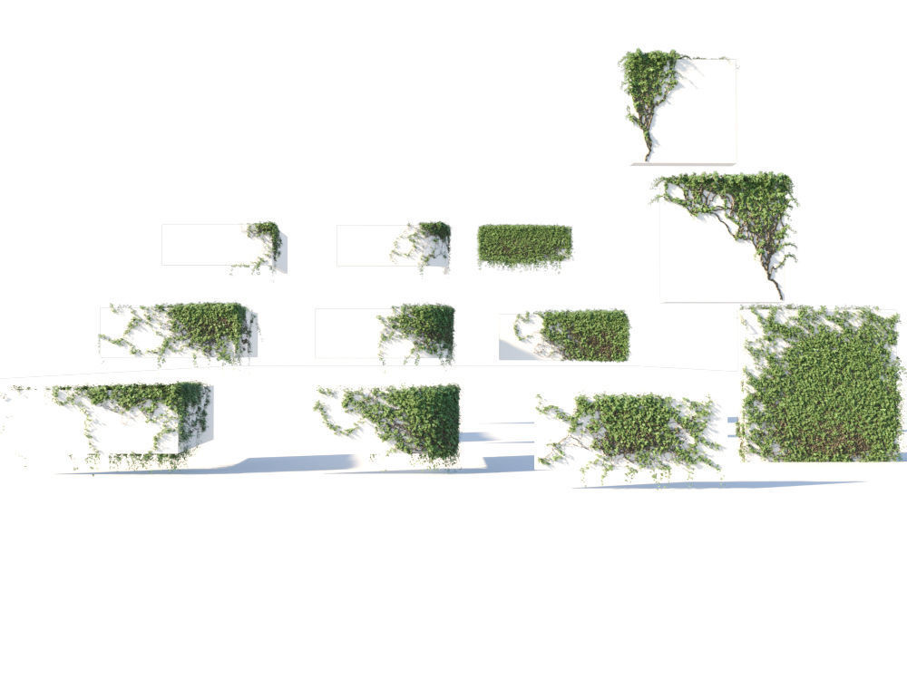 Ivy Collection three trees 3D model_8