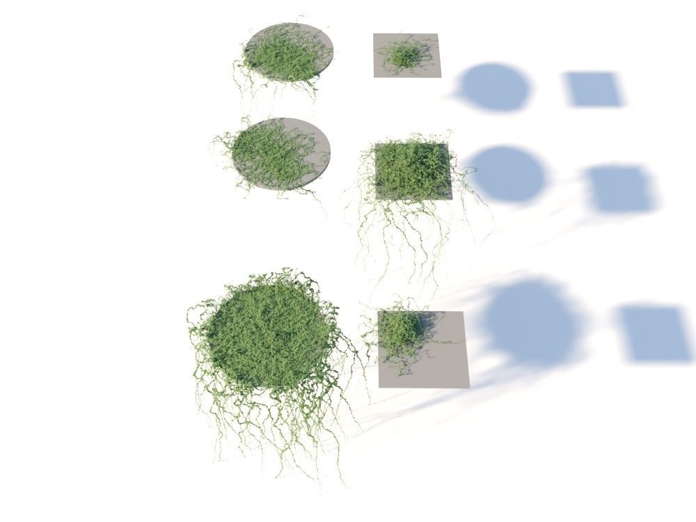 Ivy Collection three trees 3D model_10