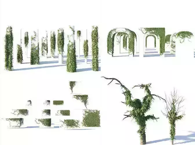 Ivy Collection three trees 3D model
