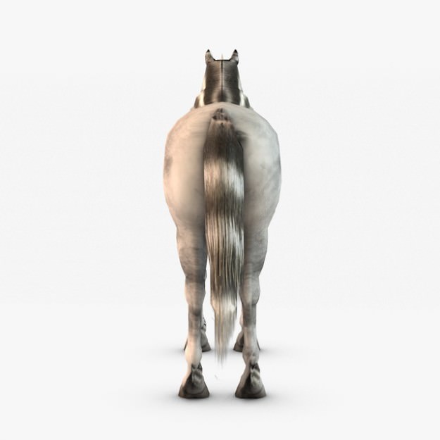 Horse and Unicorn 3D model_5
