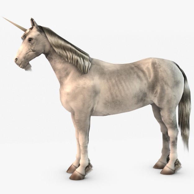 Horse and Unicorn 3D model_1