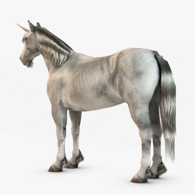Horse and Unicorn 3D model_3