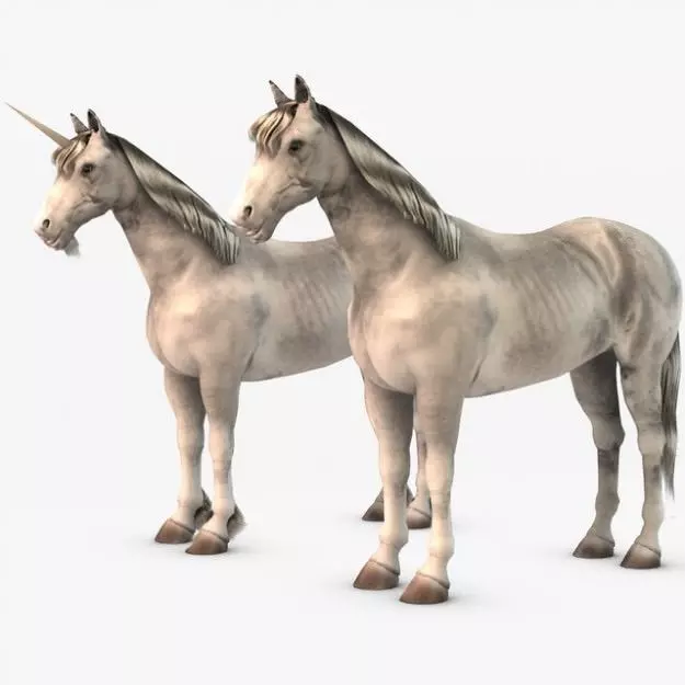 Horse and Unicorn 3D model_0