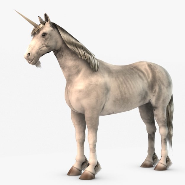 Horse and Unicorn 3D model_2