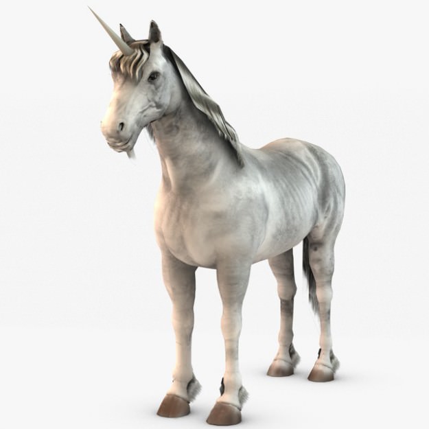 Horse and Unicorn 3D model_4