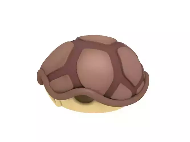 Turtle Shell
