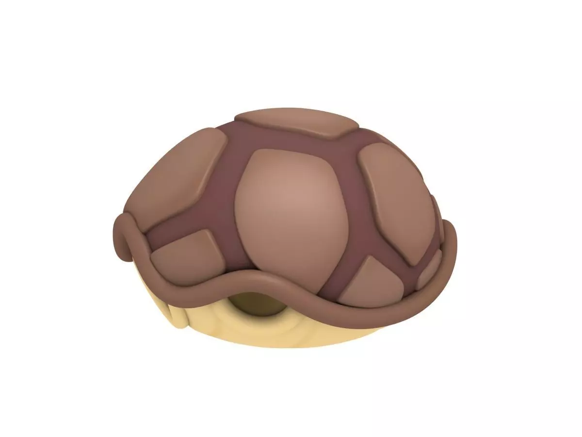 Turtle Shell 3D model_0