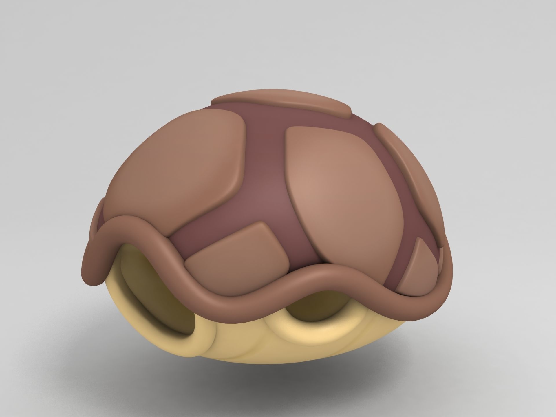Turtle Shell 3D model_1