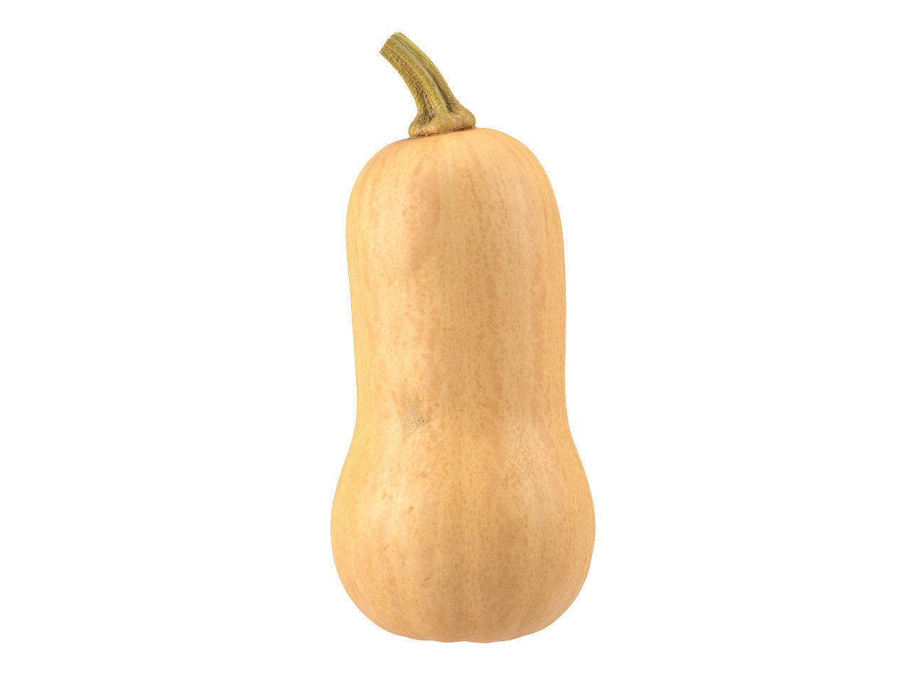 Photorealistic Butternut Squash 3D Scan 3D model_3