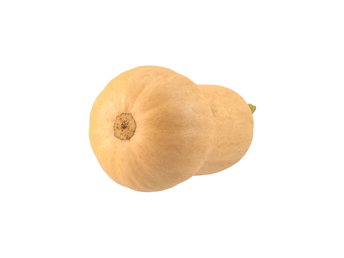 Photorealistic Butternut Squash 3D Scan 3D model_5