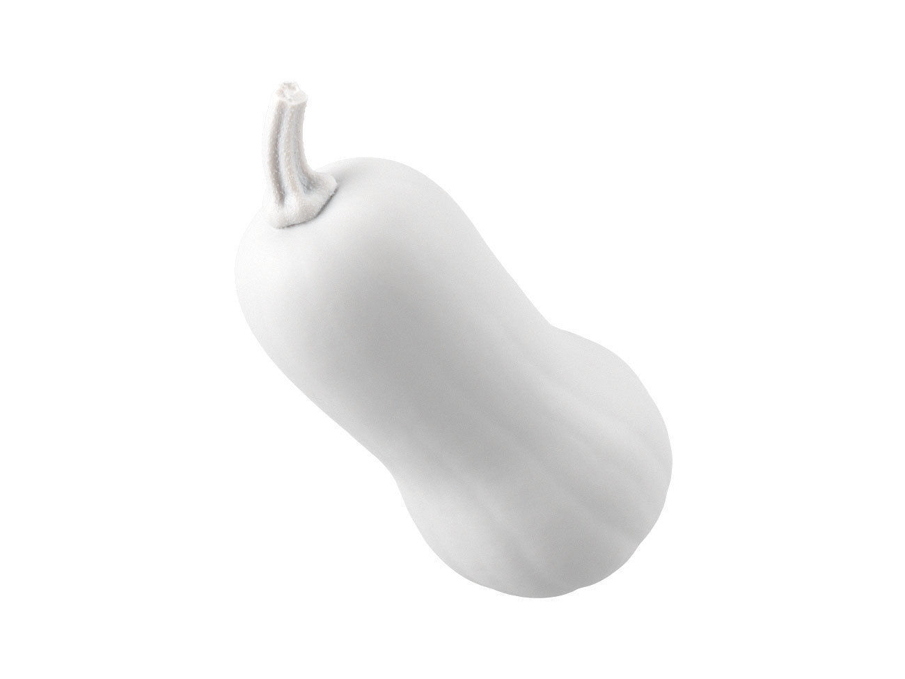 Photorealistic Butternut Squash 3D Scan 3D model_6