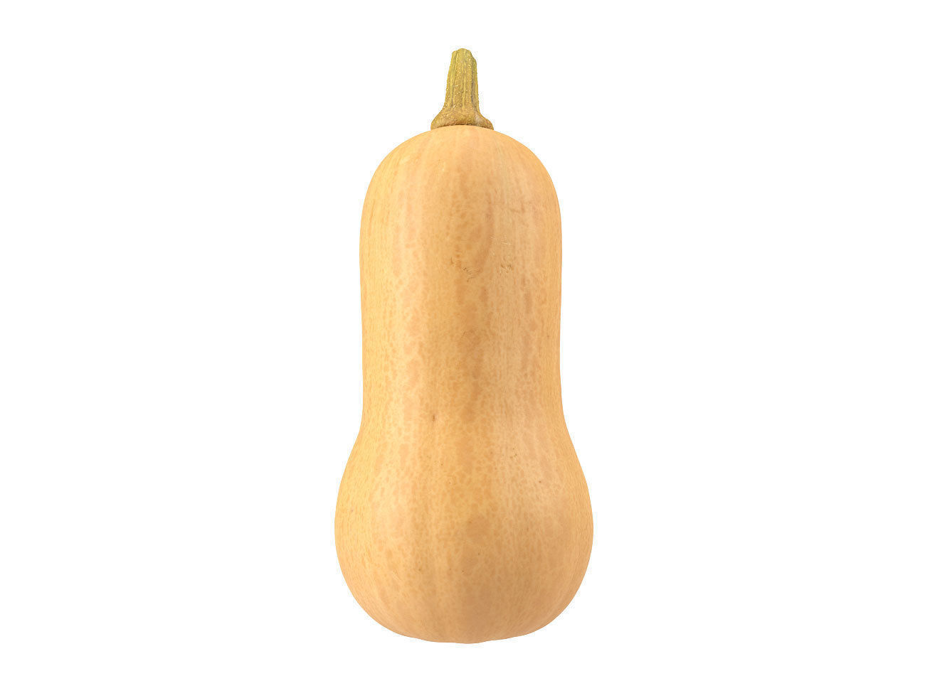 Photorealistic Butternut Squash 3D Scan 3D model_1