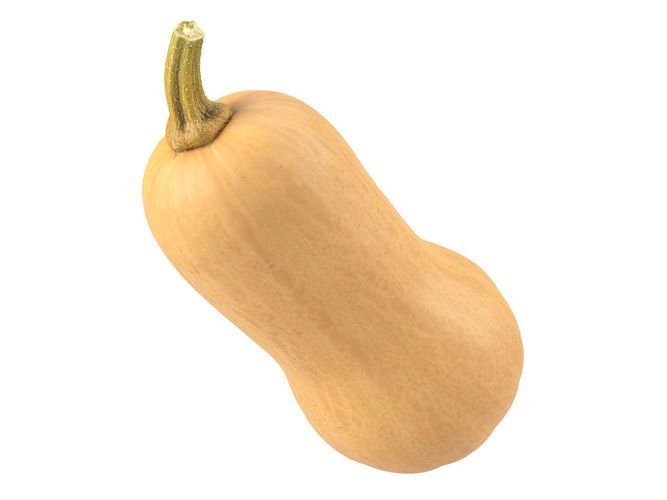 Photorealistic Butternut Squash 3D Scan 3D model
