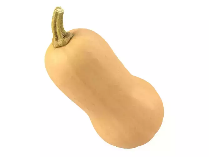 Photorealistic Butternut Squash 3D Scan 3D model