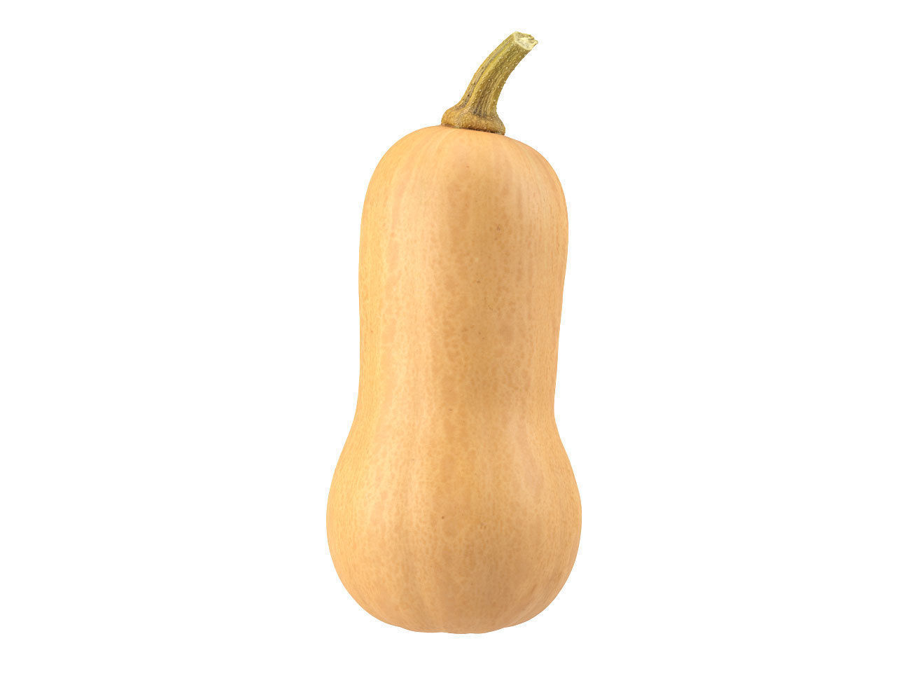 Photorealistic Butternut Squash 3D Scan 3D model_2