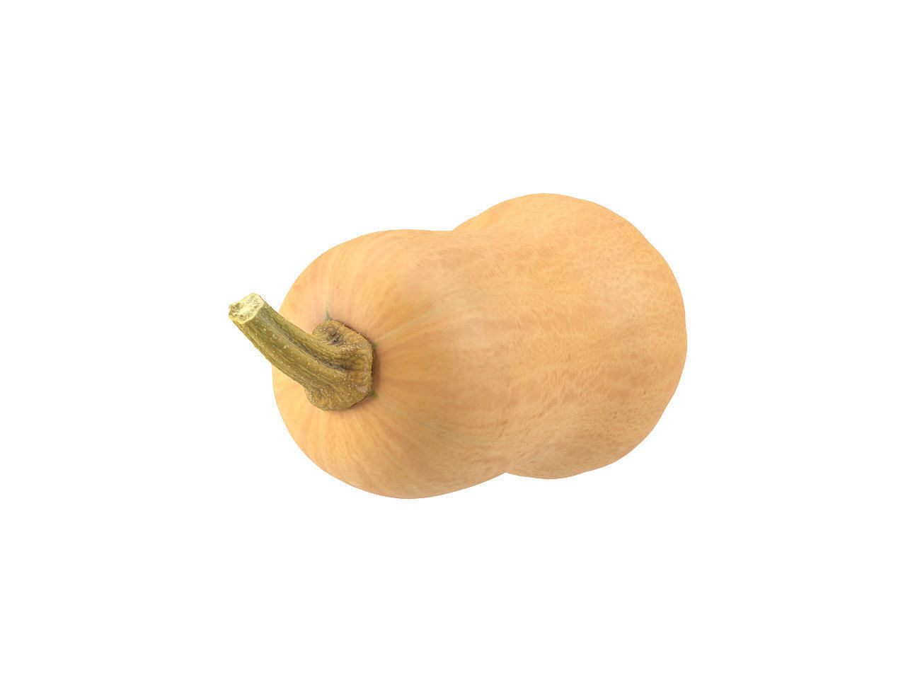 Photorealistic Butternut Squash 3D Scan 3D model_4