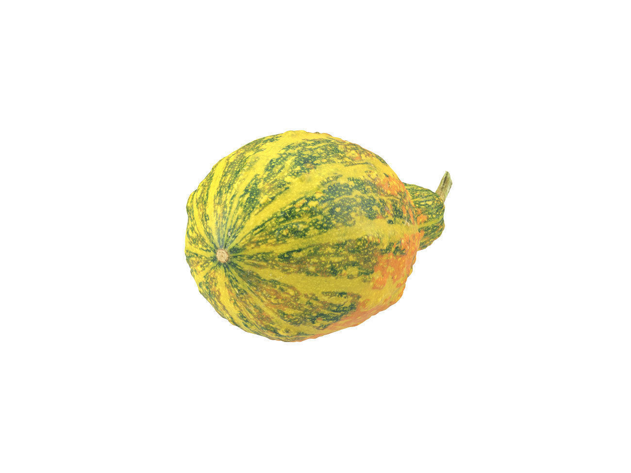 Photorealistic Decorative Gourd 3D Scan 3D model_5