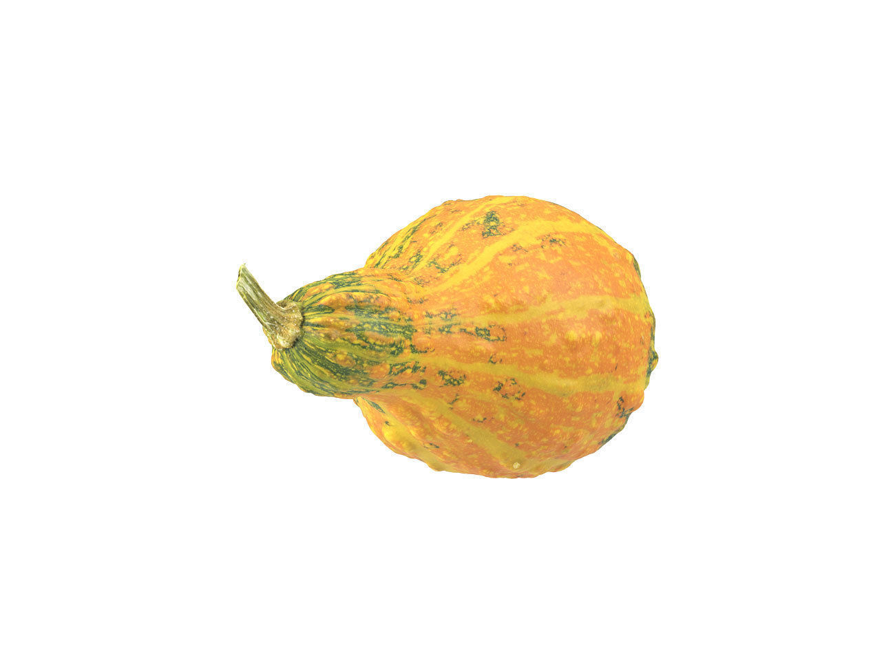 Photorealistic Decorative Gourd 3D Scan 3D model_4