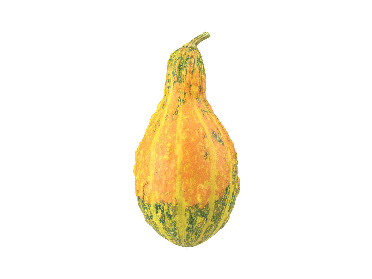 Photorealistic Decorative Gourd 3D Scan 3D model_1