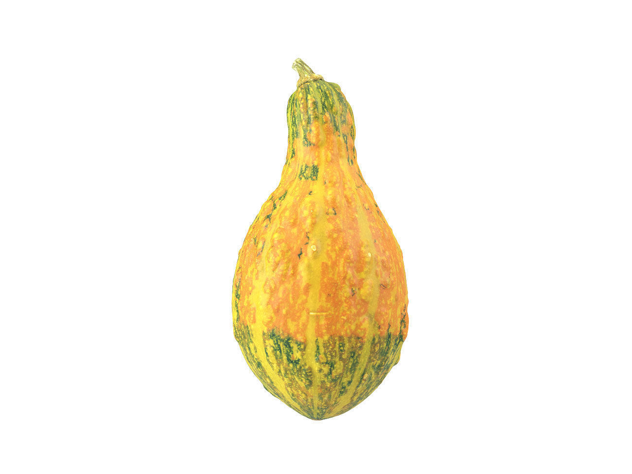 Photorealistic Decorative Gourd 3D Scan 3D model_3
