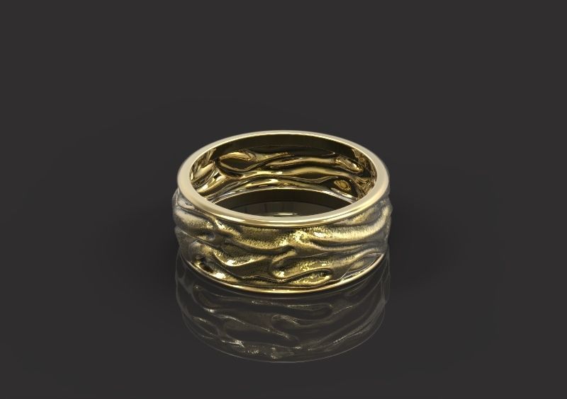 Ring Drapery 3D print model_1