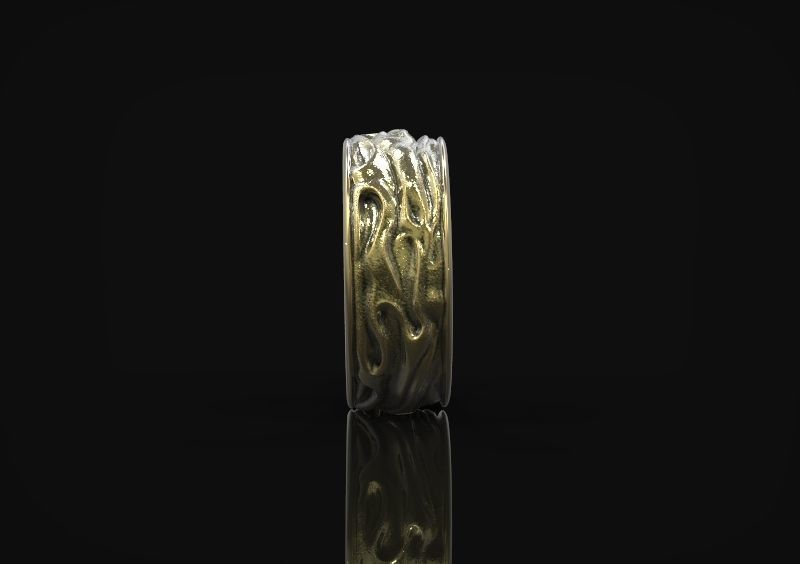 Ring Drapery 3D print model_3