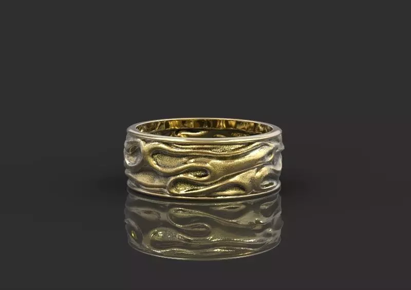 Ring Drapery 3D print model_0