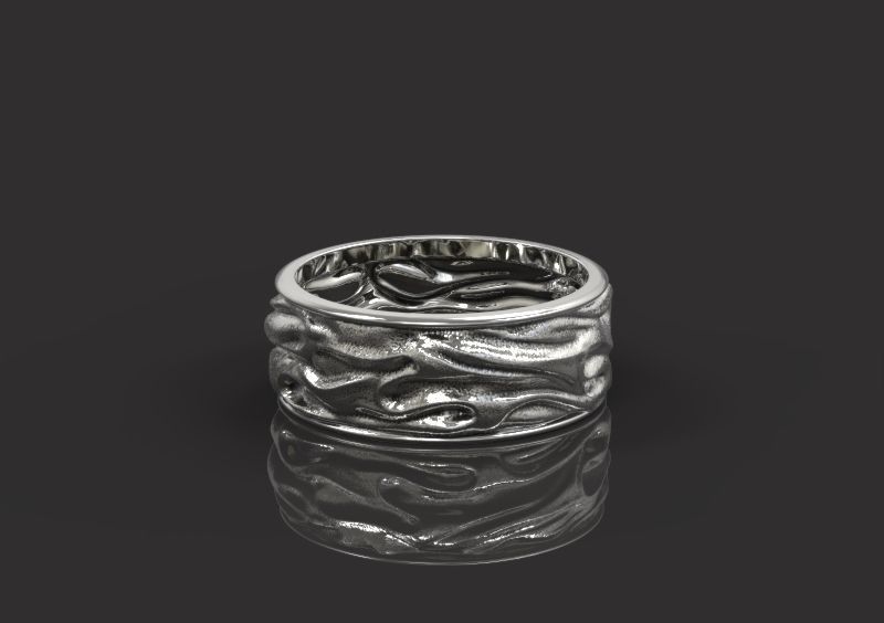 Ring Drapery 3D print model_2