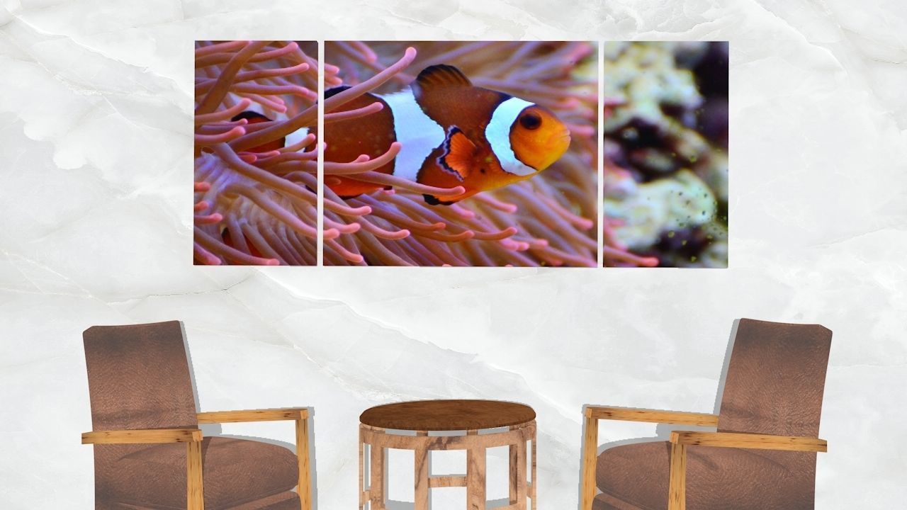 Triptych Wall Art Clownfish and Sea Anemone Low-poly 3D model_2