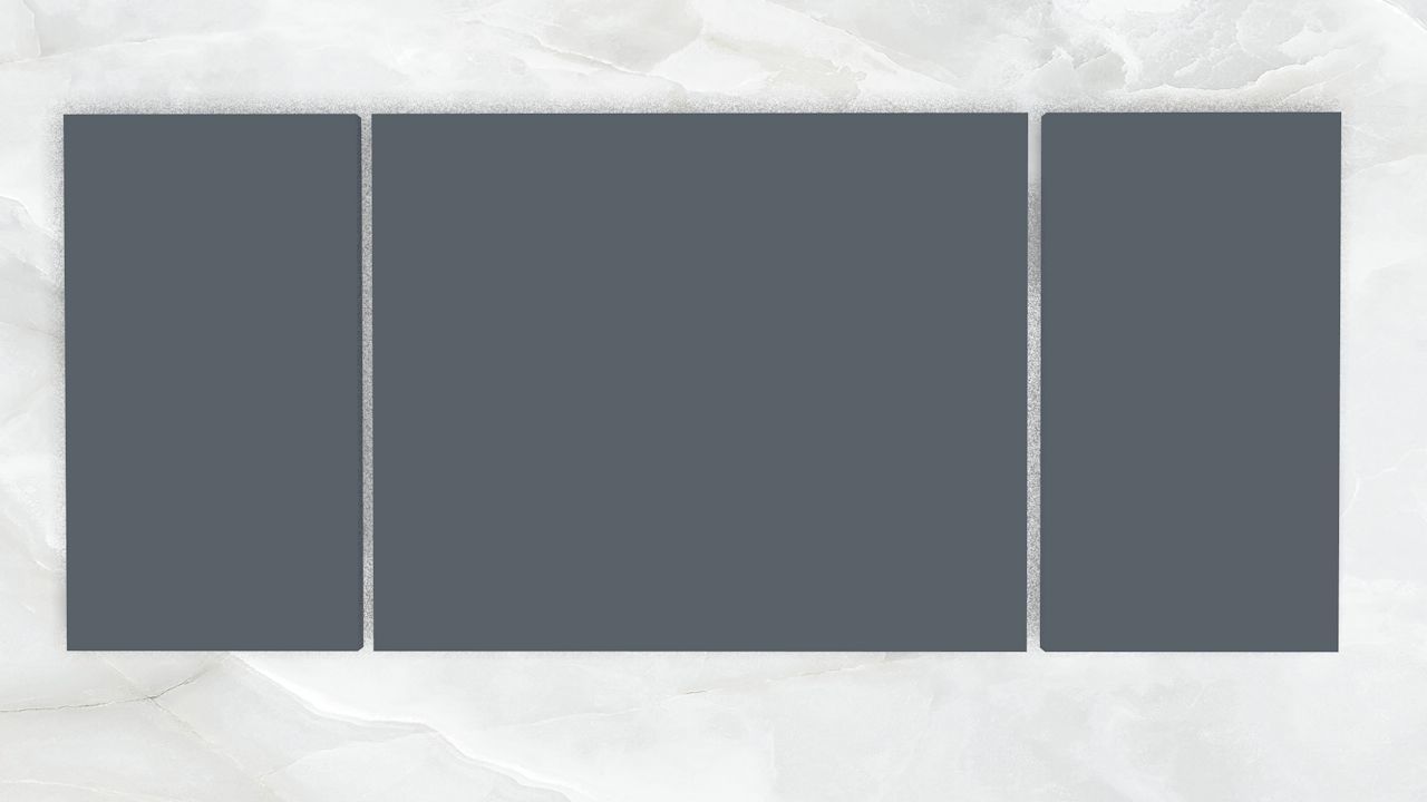 Triptych Wall Art Chameleon Low-poly 3D model_3