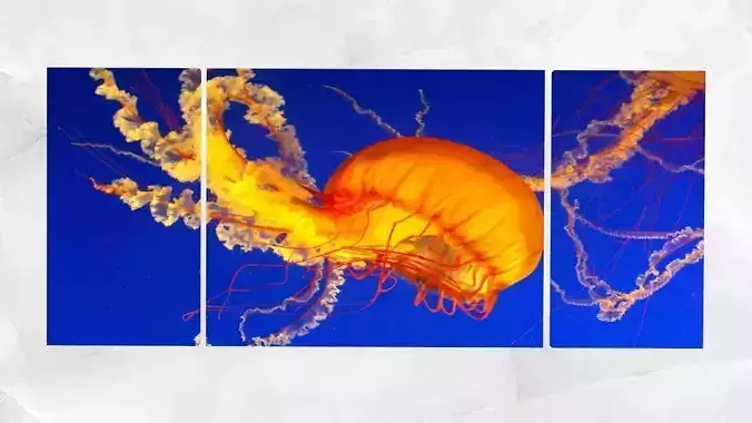Triptych Wall Art Pacific Sea Nettle Jellyfish Low-poly 3D model