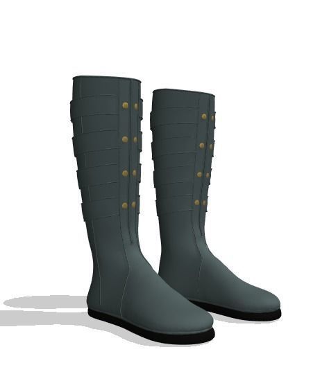 Boots pair of Low-poly 3D model_1