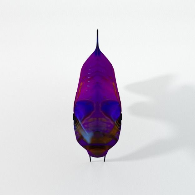15 Saltwater Fish Pack Low-poly 3D model_78