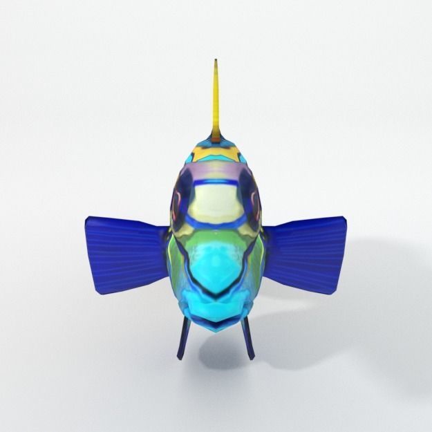 15 Saltwater Fish Pack Low-poly 3D model_101