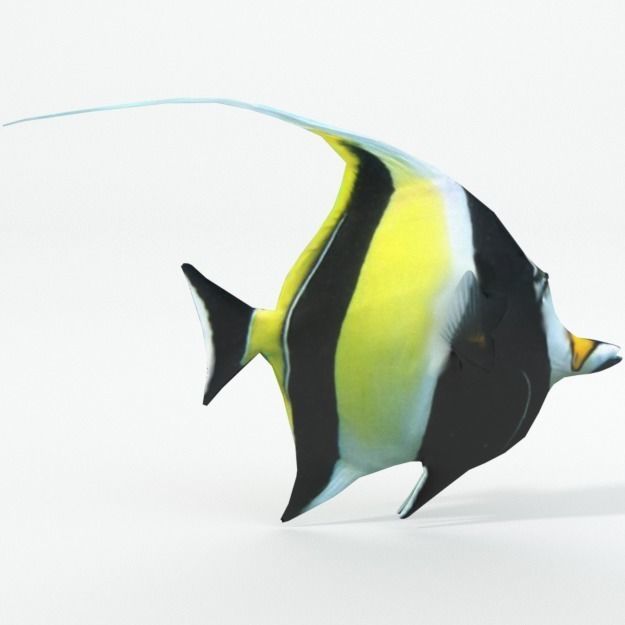 15 Saltwater Fish Pack Low-poly 3D model_111